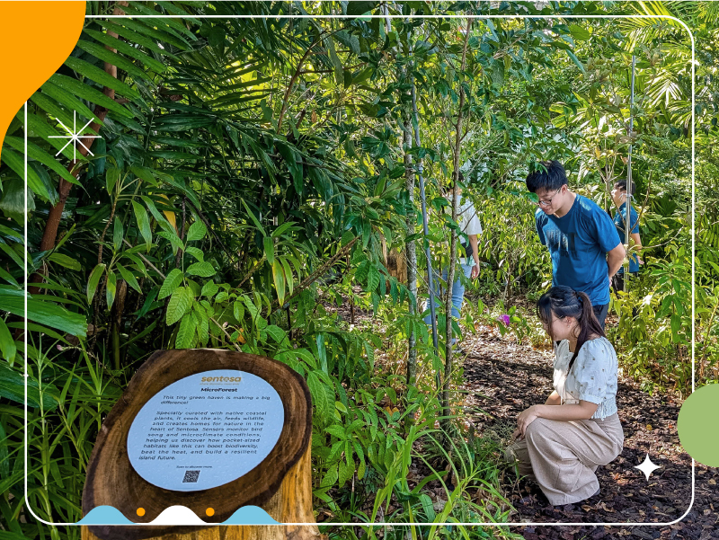 Sentosa Eco-Odyssey Tour